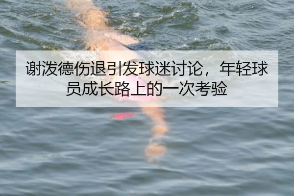 谢泼德伤退引发球迷讨论，年轻球员成长路上的一次考验
